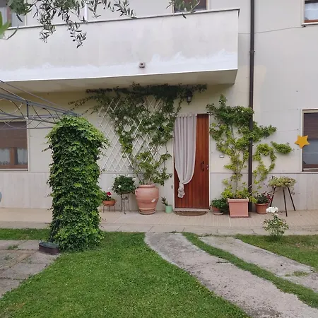 Villa Carol Appartamento e B&B-3
